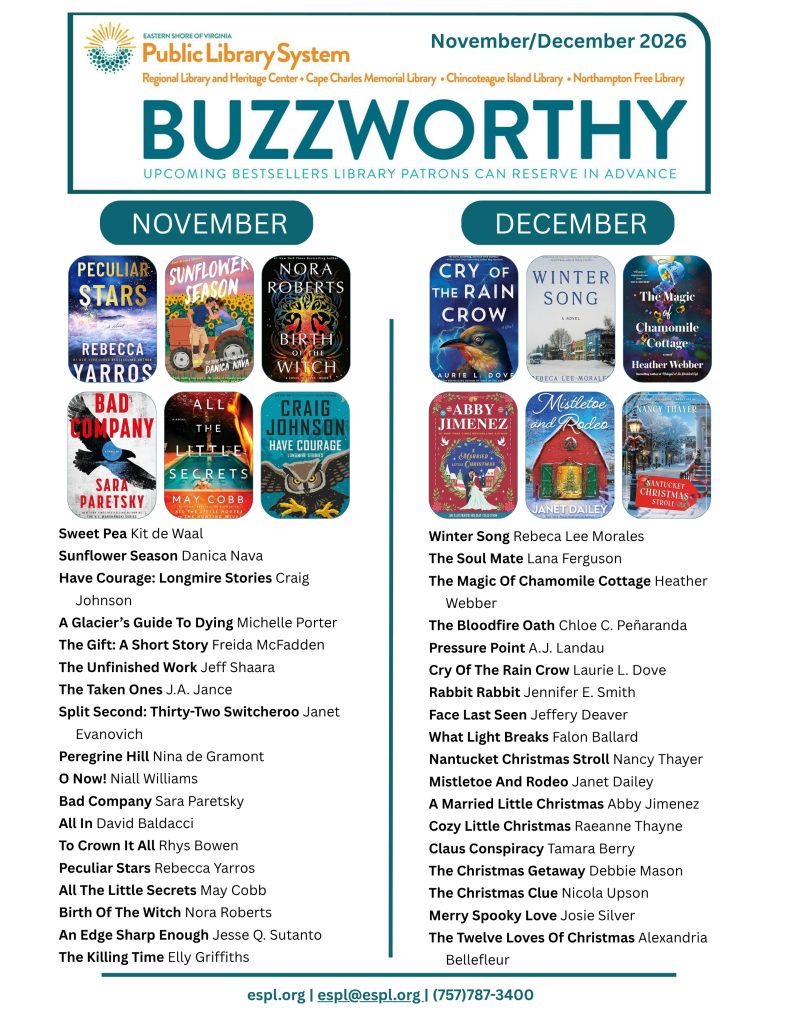 A list of approximately 40 books that will be published in November and December 2026 that are expected to be popular. This list also includes a selection of Holiday novels.